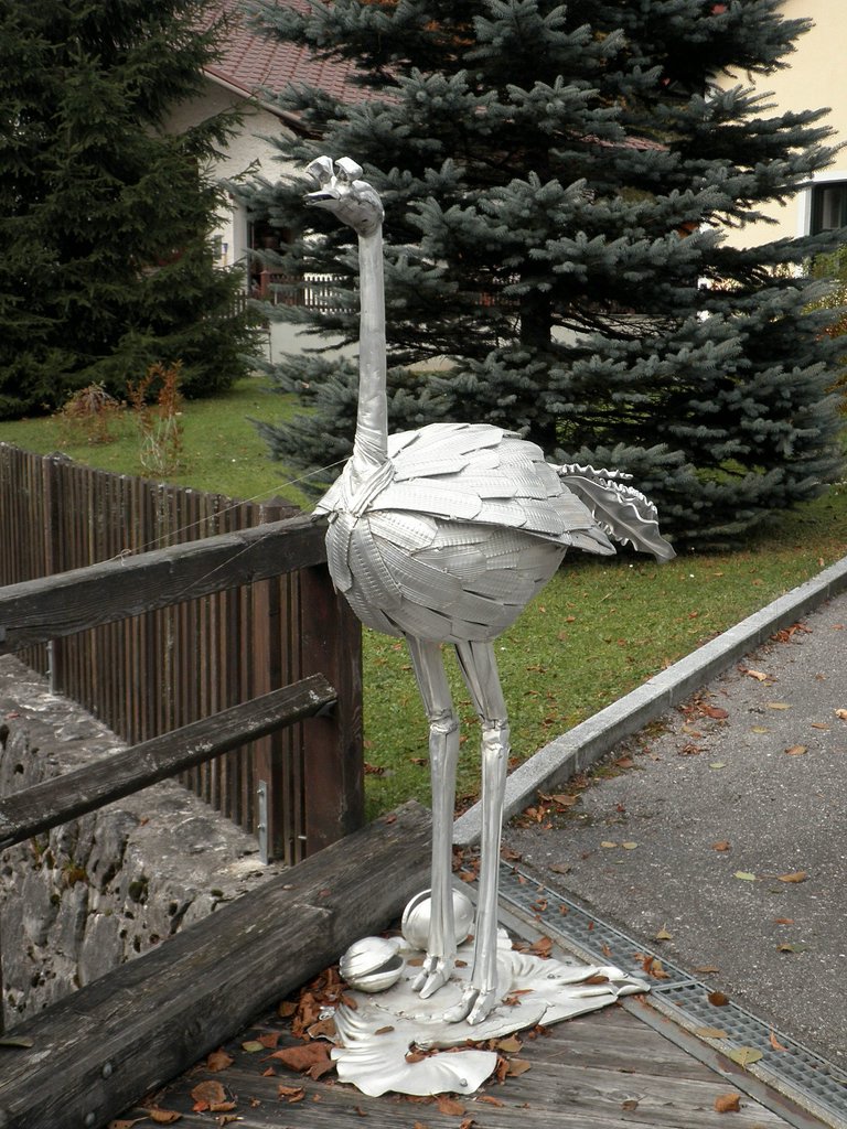 PA230090.JPG