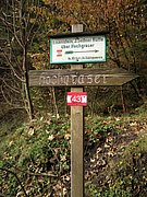 PA230013.JPG