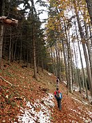 PA230026.JPG