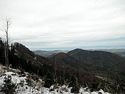 PA230031.JPG