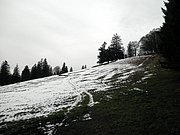 PA230036.JPG