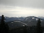 PA230043.JPG