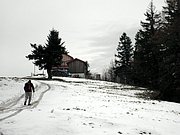 PA230049.JPG