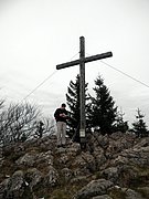PA230052.JPG