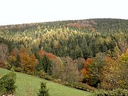 PA230067.JPG