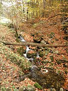 PA230072.JPG