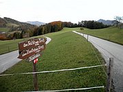 PA230084.JPG