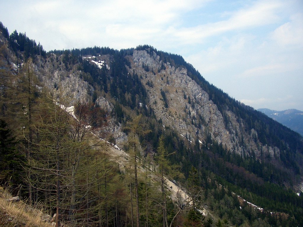 CIMG4679.JPG