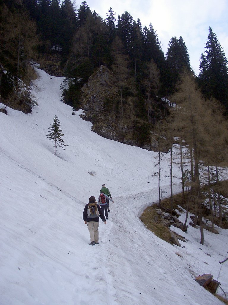 CIMG4683.JPG