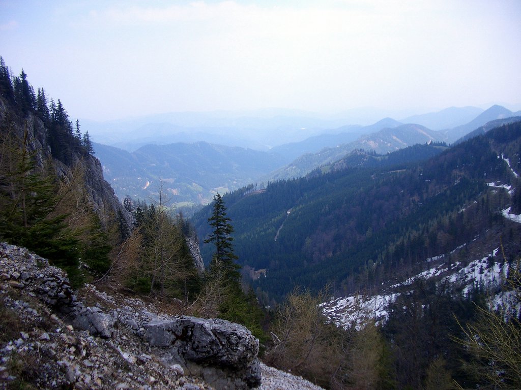 CIMG4684.JPG