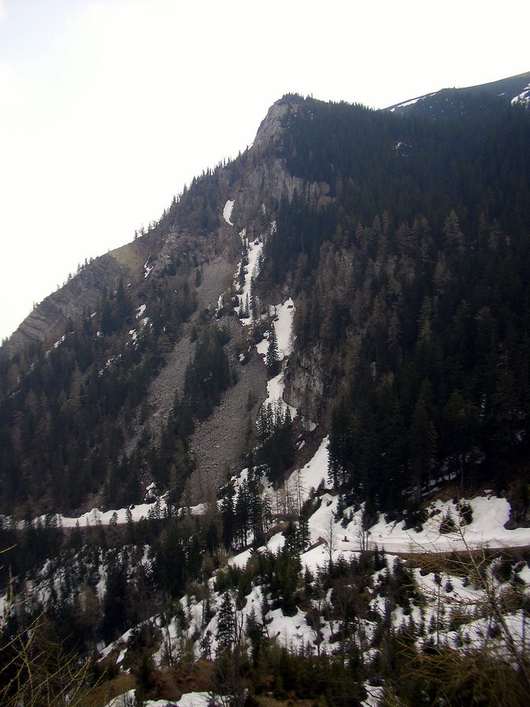 CIMG4685.JPG