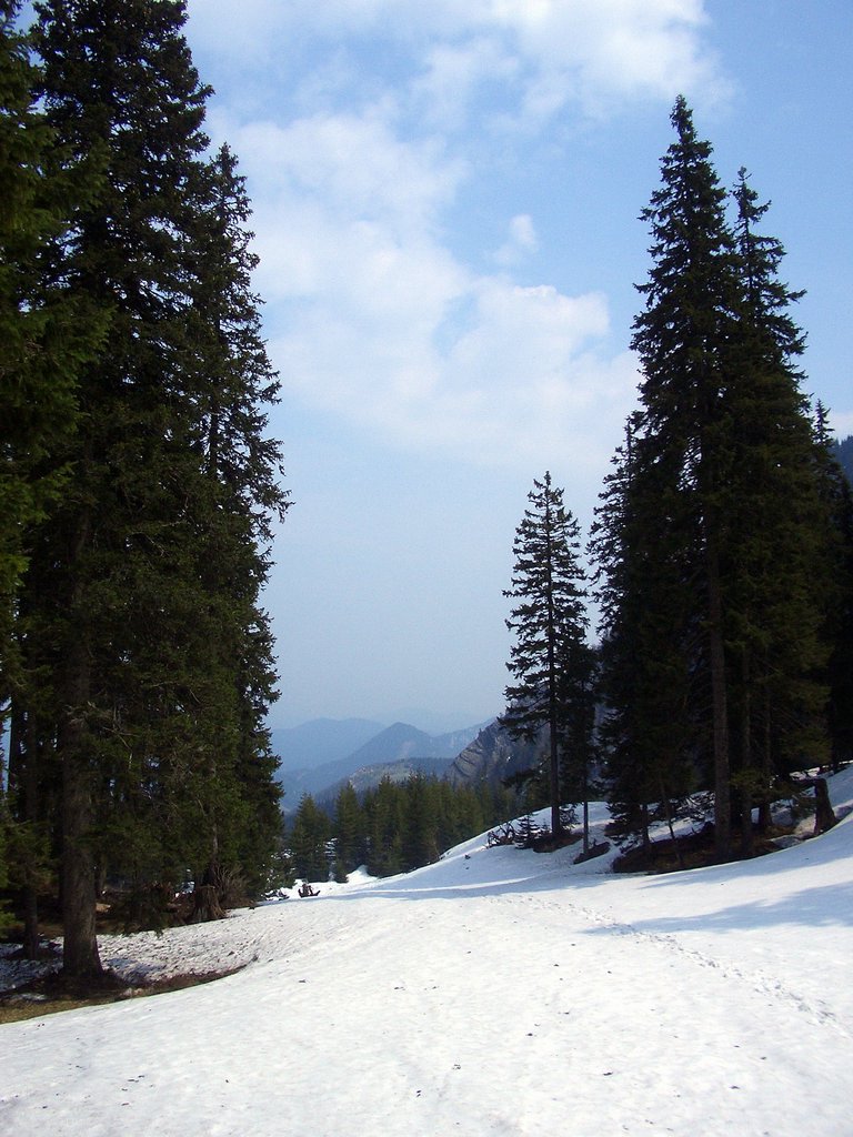 CIMG4689.JPG