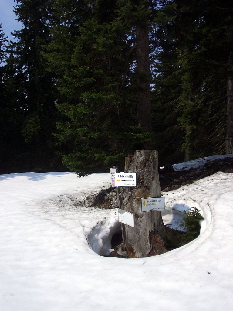 CIMG4694.JPG