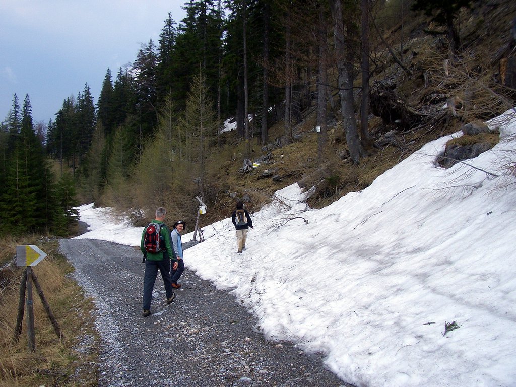 CIMG4715.JPG