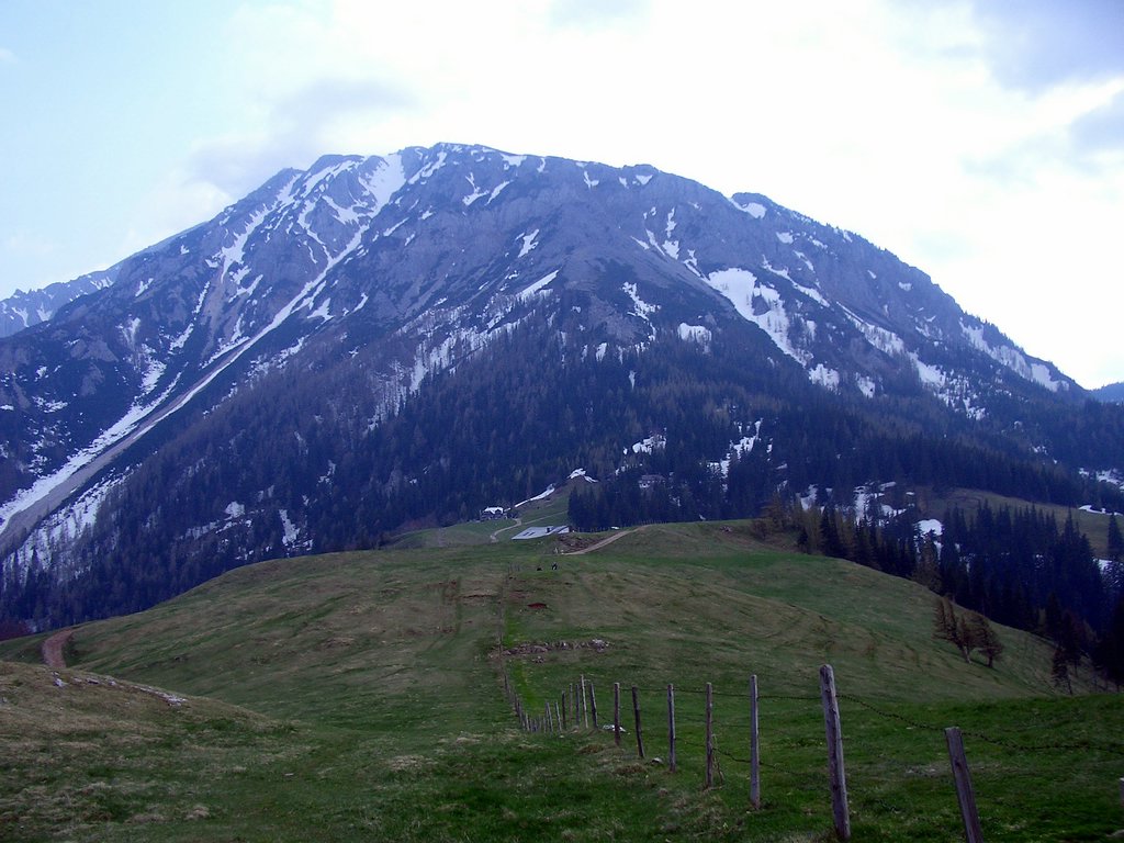CIMG4726.JPG