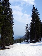 CIMG4689.JPG