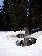 CIMG4694.JPG