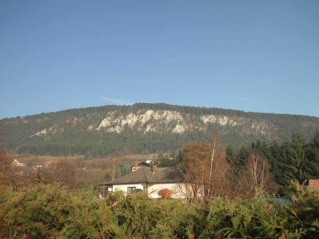 PB210016.JPG