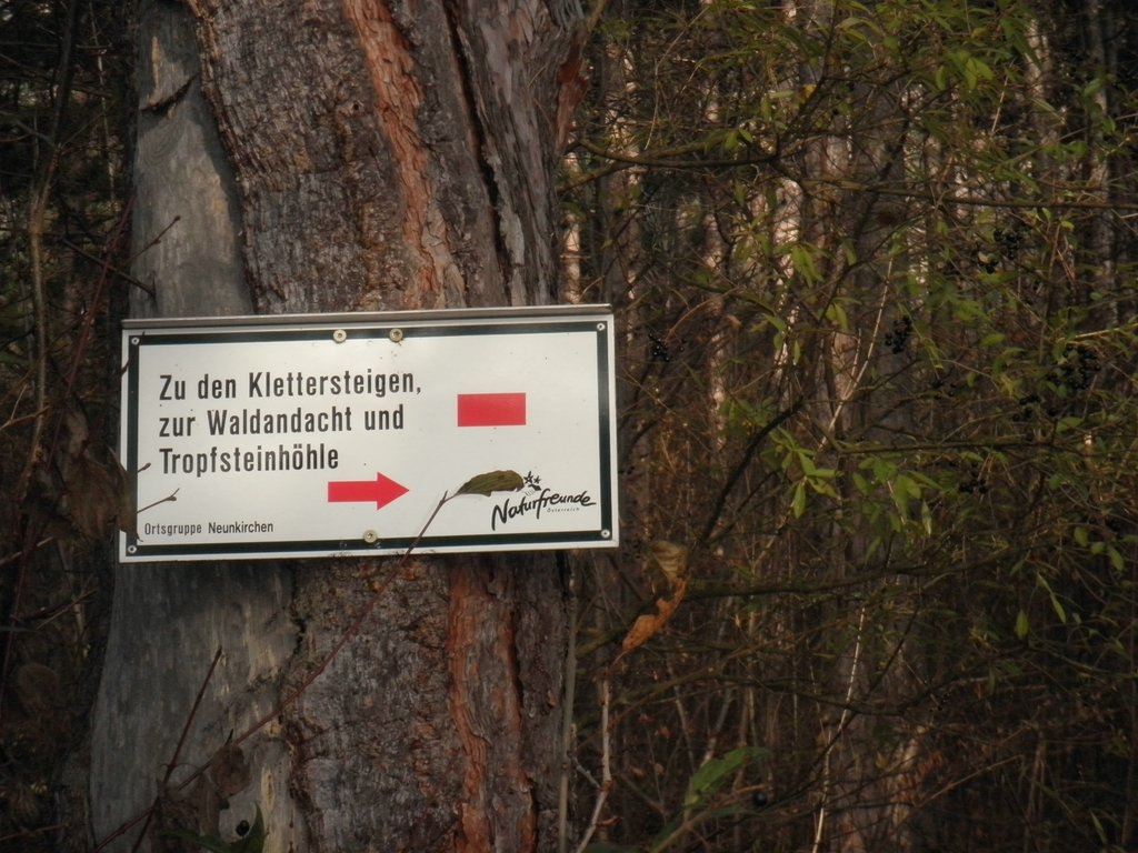 PB210020.JPG