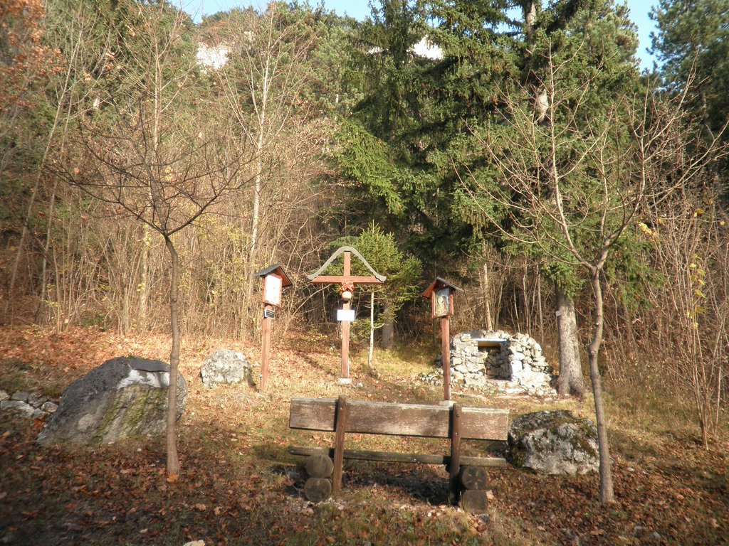PB210027.JPG