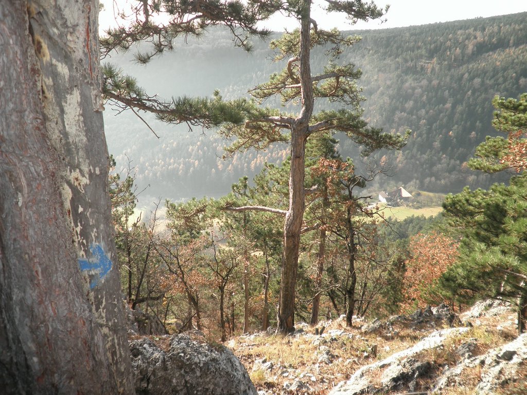 PB210046.JPG