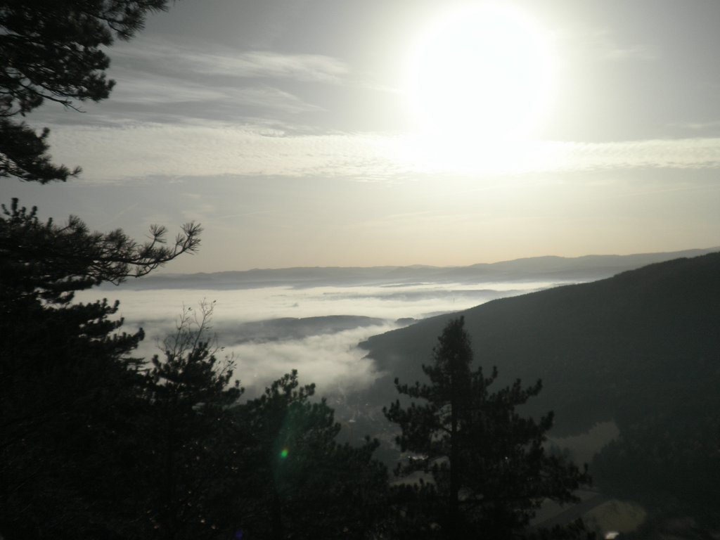 PB210048.JPG
