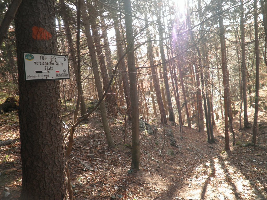 PB210052.JPG