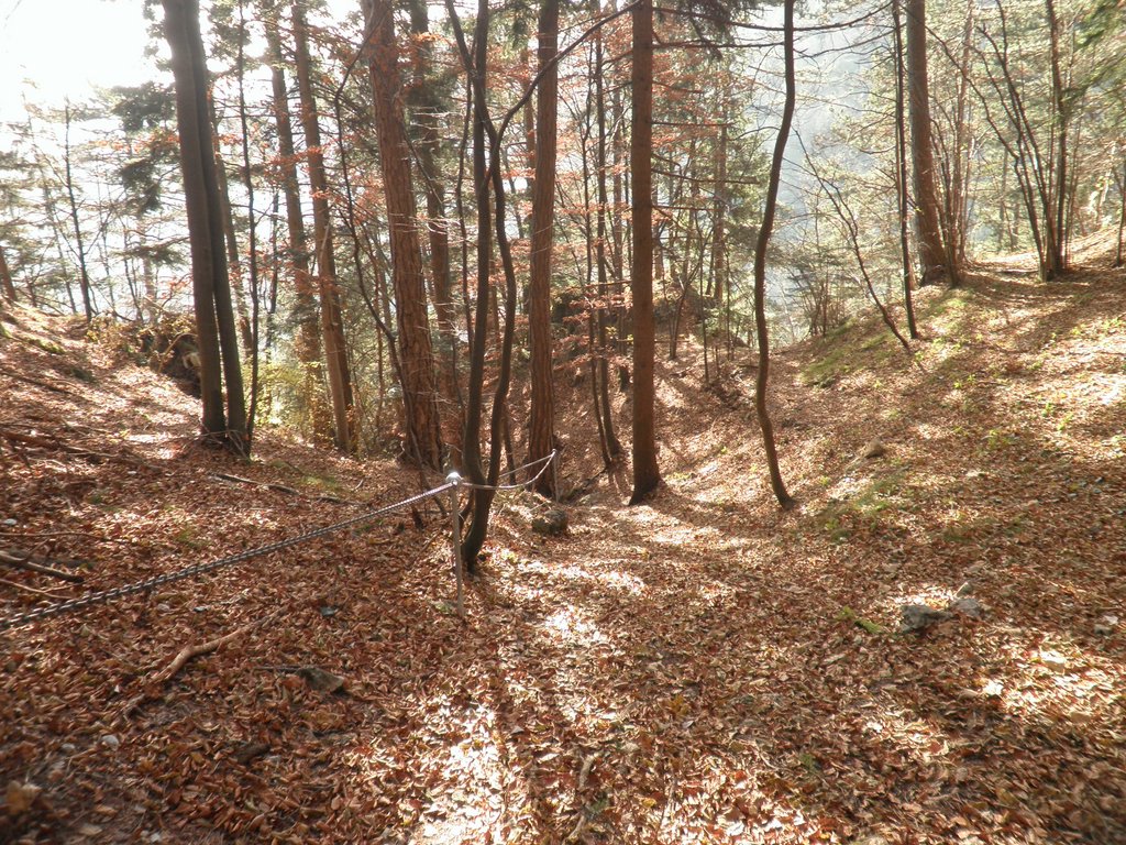 PB210055.JPG