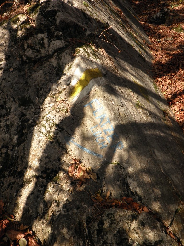 PB210063.JPG