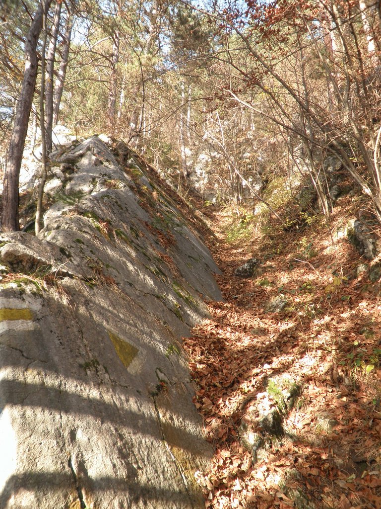 PB210073.JPG
