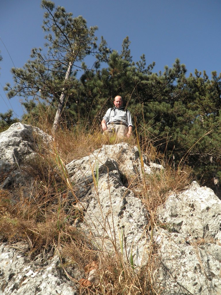 PB210079.JPG