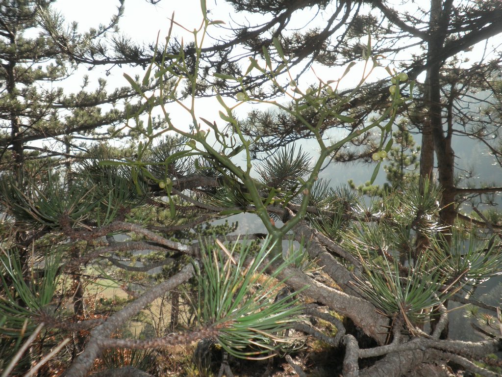 PB210084.JPG