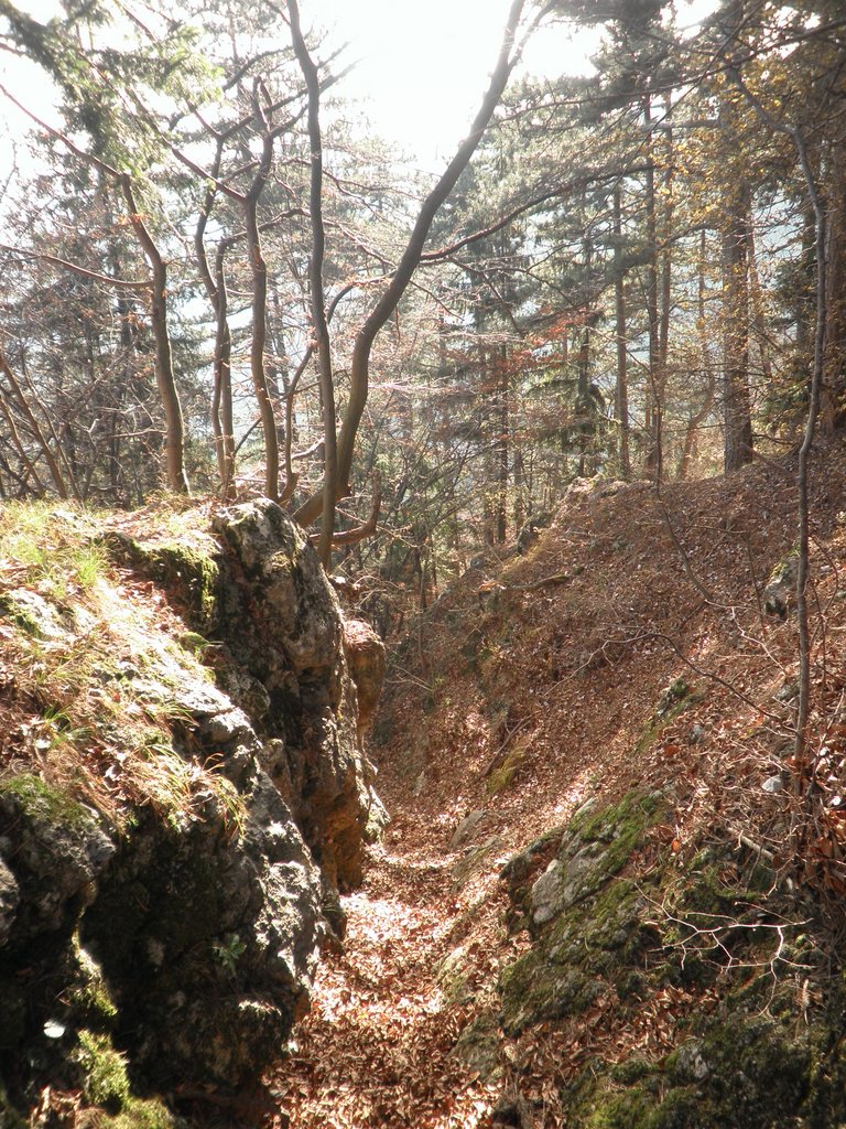 PB210089.JPG