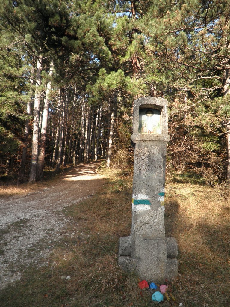 PB210101.JPG