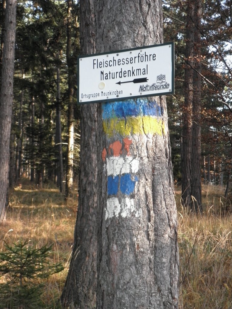 PB210108.JPG