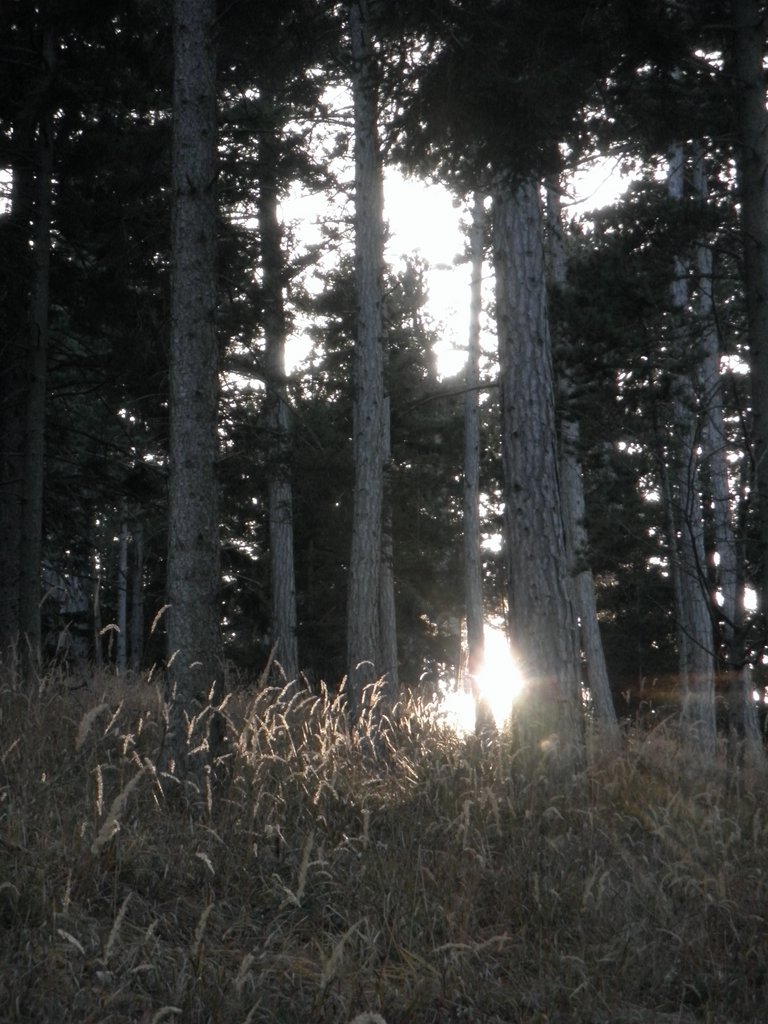 PB210122.JPG