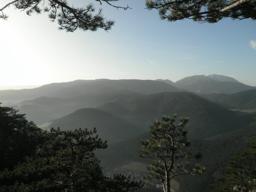 PB210125.JPG