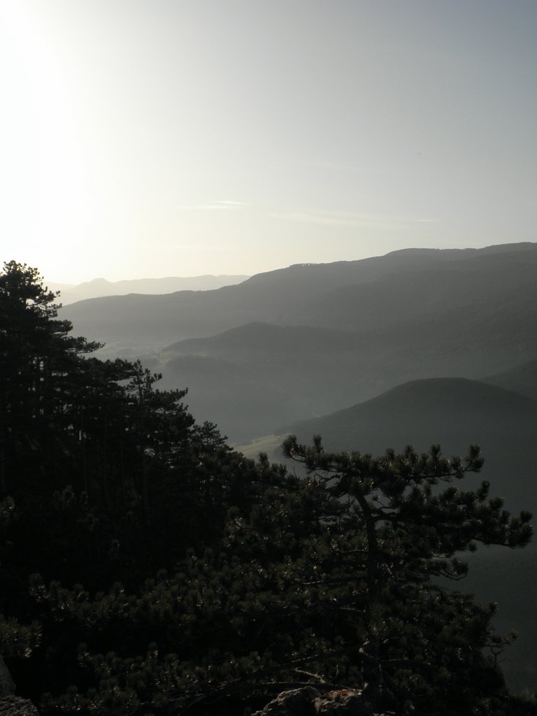 PB210126.JPG