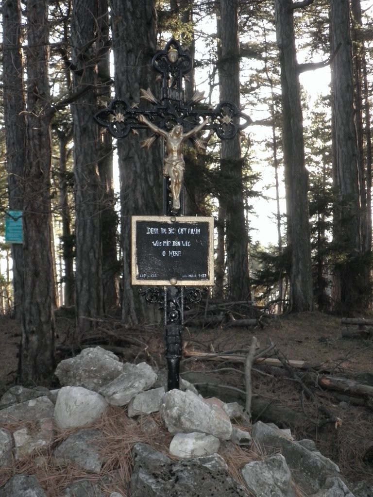 PB210132.JPG