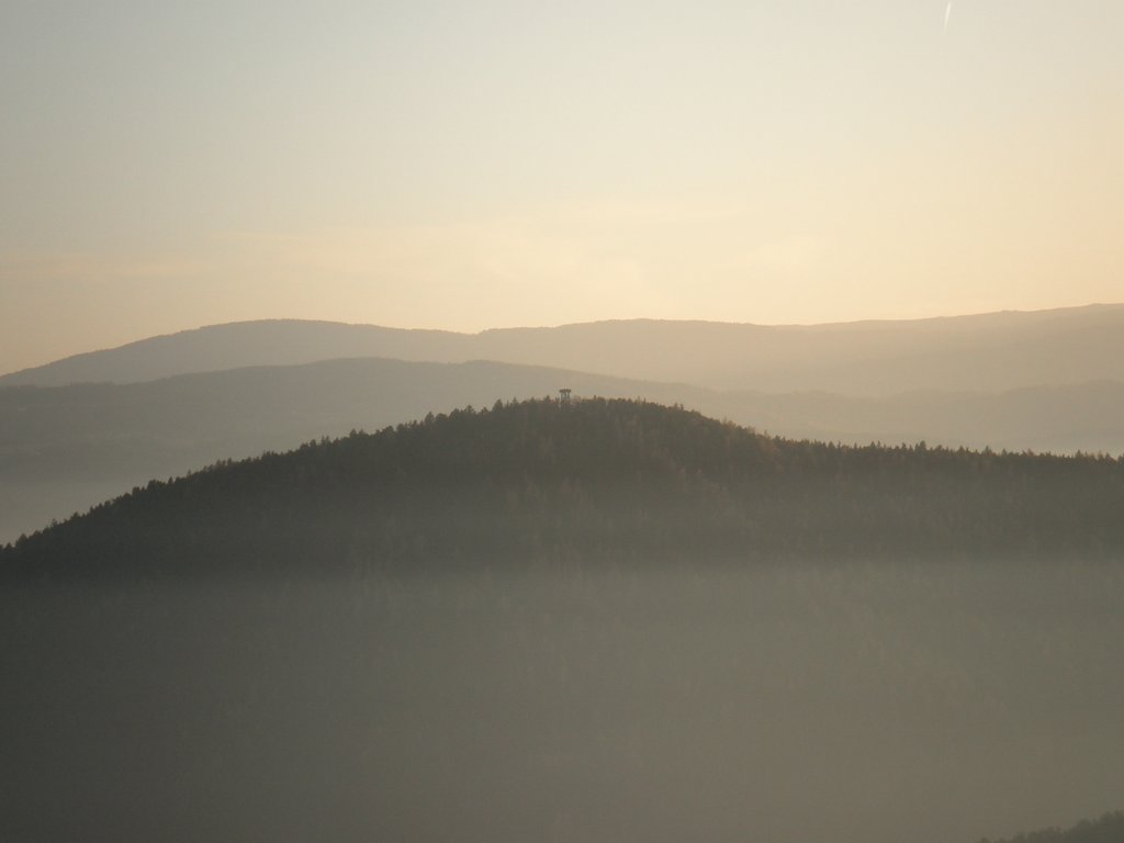PB210154.JPG