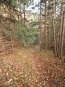 PB210011.JPG