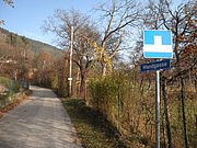 PB210017.JPG