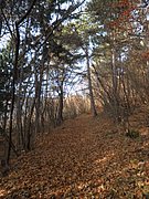 PB210021.JPG