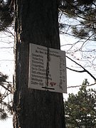 PB210025.JPG