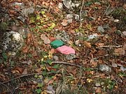 PB210026.JPG