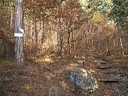PB210033.JPG
