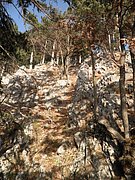 PB210041.JPG