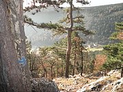 PB210046.JPG
