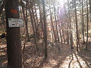 PB210052.JPG
