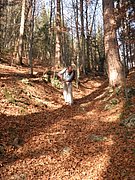 PB210054.JPG